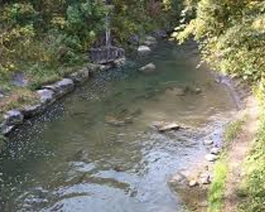 Oshawa Creek winding through green space in Ward 4